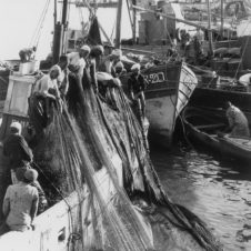 Agadir scènes vie bateau pêche port filets efforts tirer pêcher poissons travail sortir