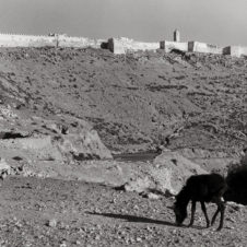 Agadir remparts forteresse piste horizon pierrailles