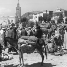 Agadir souk âne charge courge verte slaoui oignons foule minaret casbah soleil