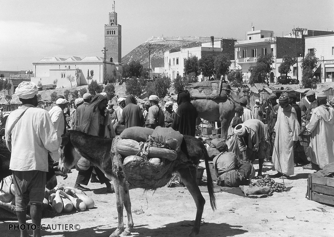 Agadir souk âne charge courge verte slaoui oignons foule minaret casbah soleil