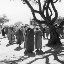 scènes vie palabres souk hommes debout babouches djellaba âne turban burnous rozza