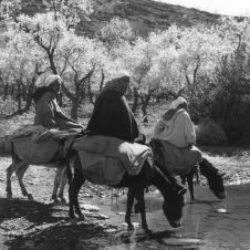 photo de trois hommes à dos d'âne s'abrevant dans une rivière