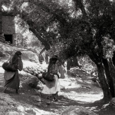 paysage avec des femmes qui ortent de l’eau dans un chemin