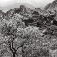 paysage de campagne marocaine